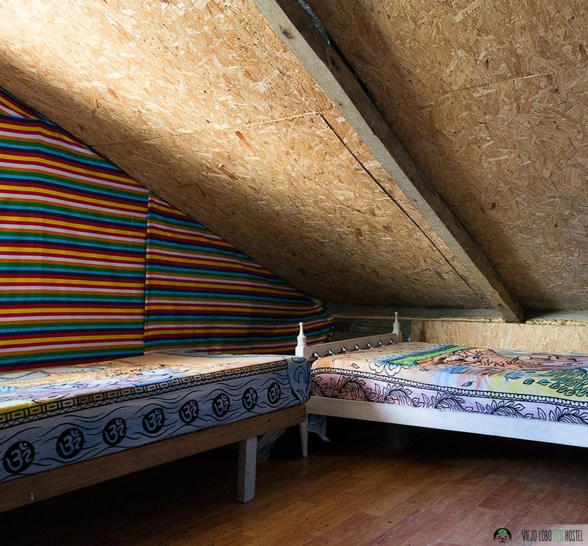 Viejo Lobo Hostel Cabo Polonio Ngoại thất bức ảnh