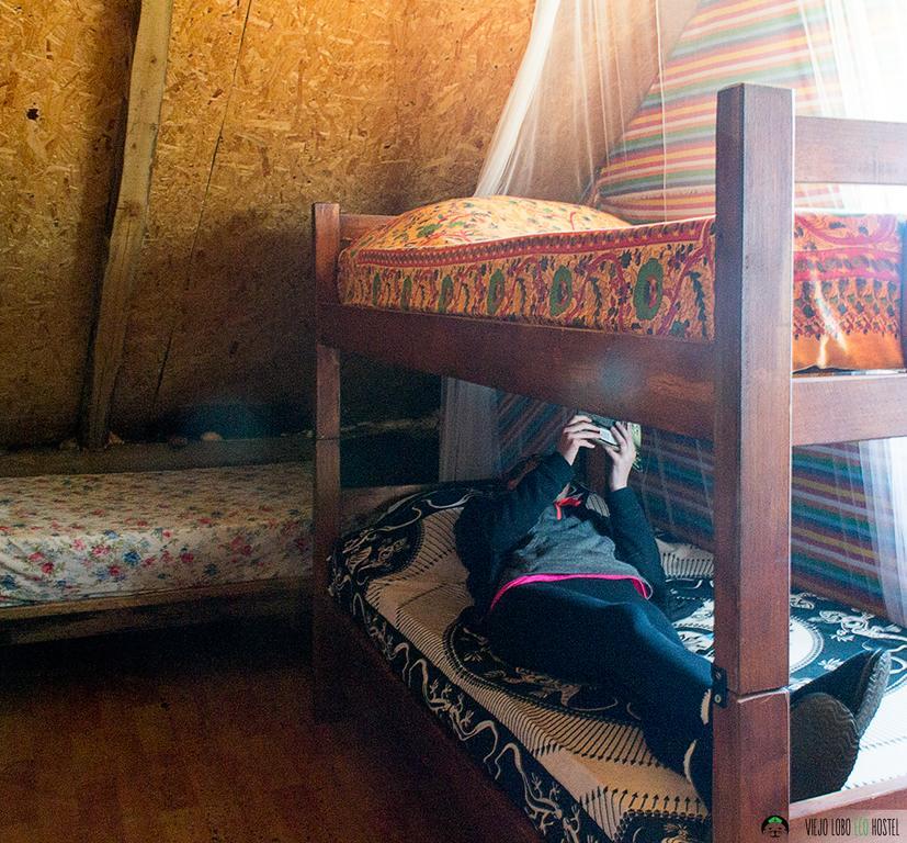 Viejo Lobo Hostel Cabo Polonio Ngoại thất bức ảnh