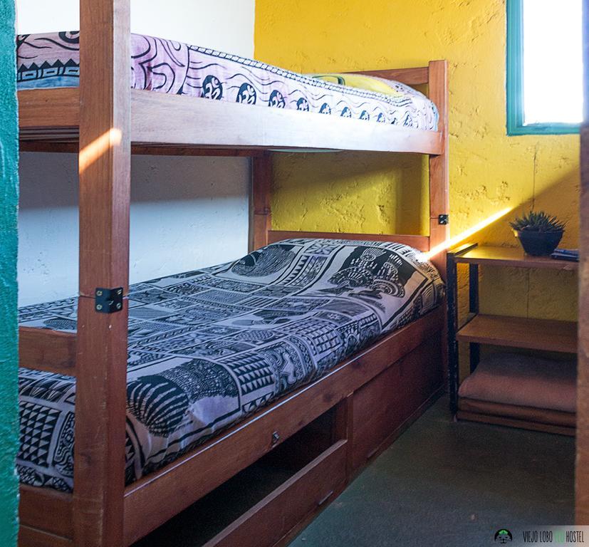 Viejo Lobo Hostel Cabo Polonio Phòng bức ảnh