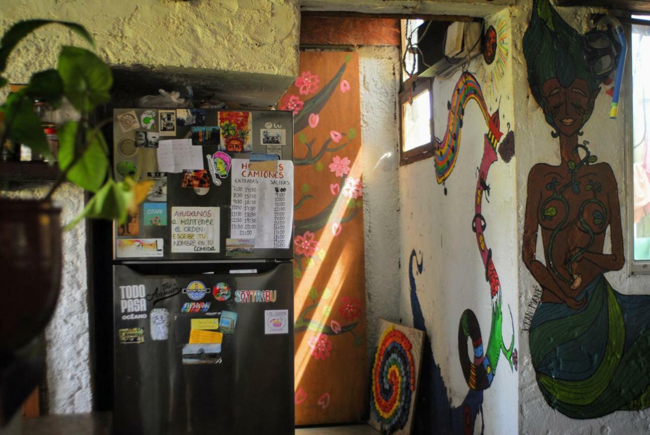 Viejo Lobo Hostel Cabo Polonio Ngoại thất bức ảnh