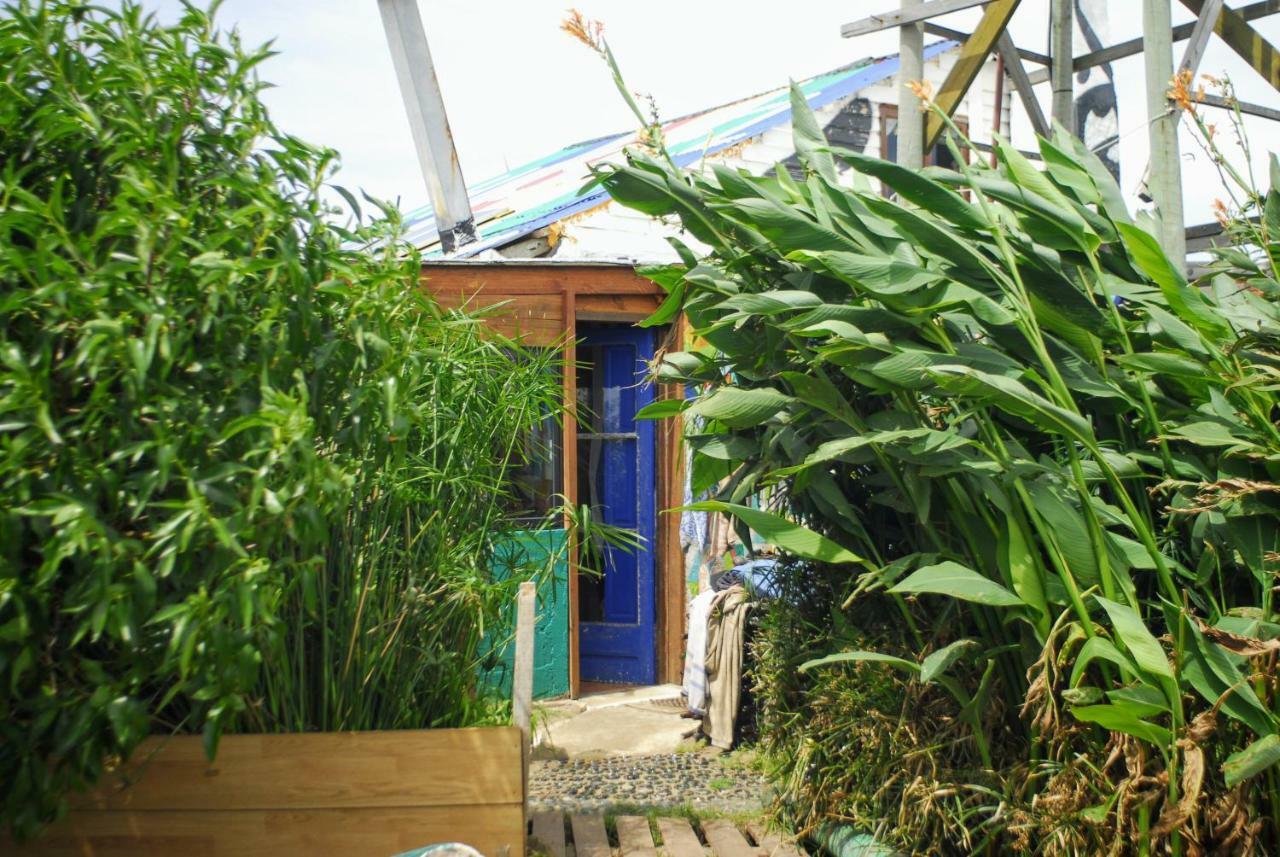 Viejo Lobo Hostel Cabo Polonio Ngoại thất bức ảnh
